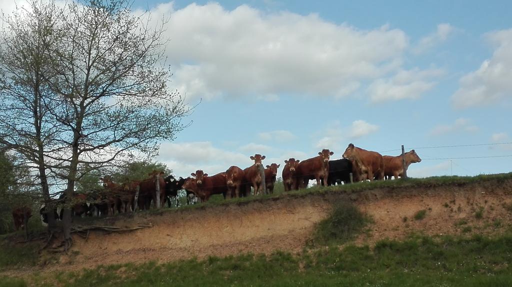 Charmante Maison A La Ferme Valderies Exteriör bild