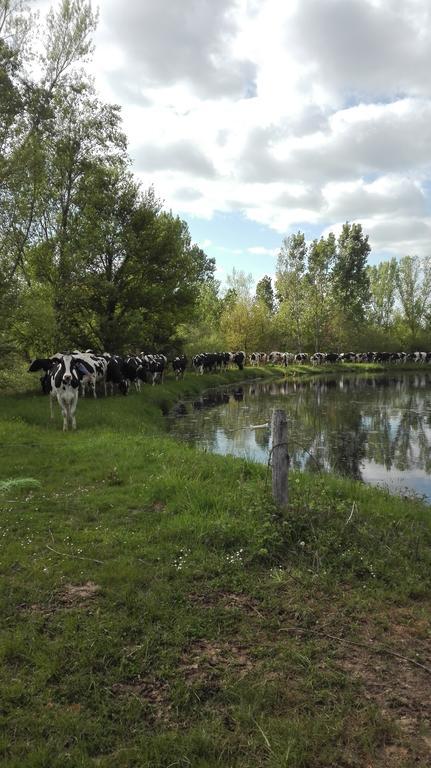 Charmante Maison A La Ferme Valderies Exteriör bild